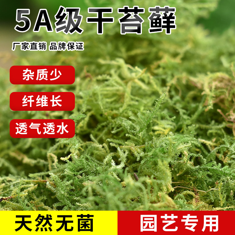 水苔蝴蝶兰专用的营养土干苔藓种植营养土石斛兰花爬宠垫材纯天然