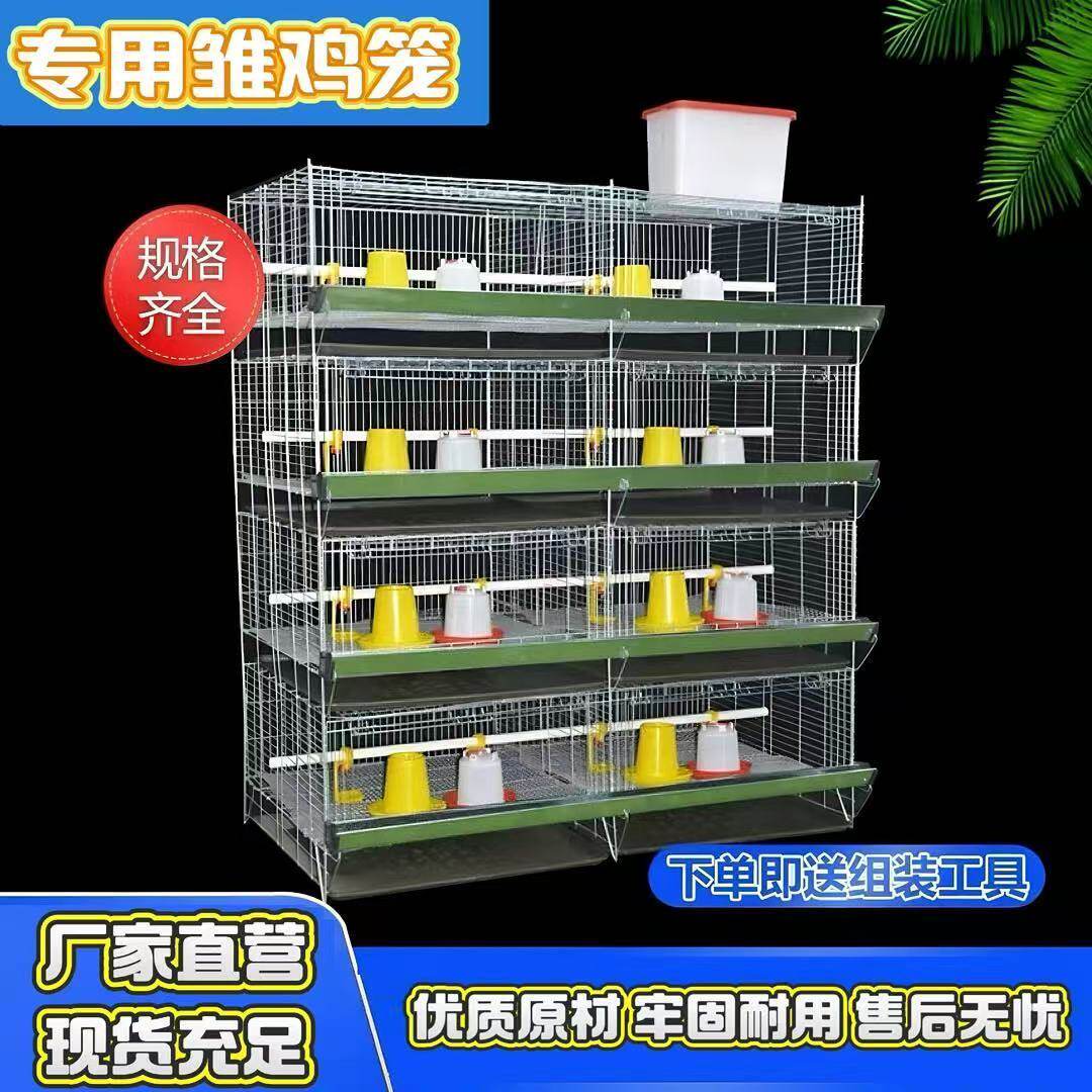 育雏笼加粗加密四层一体小鸡笼立式大型养殖鸡笼鸡舍小鸡育雏笼