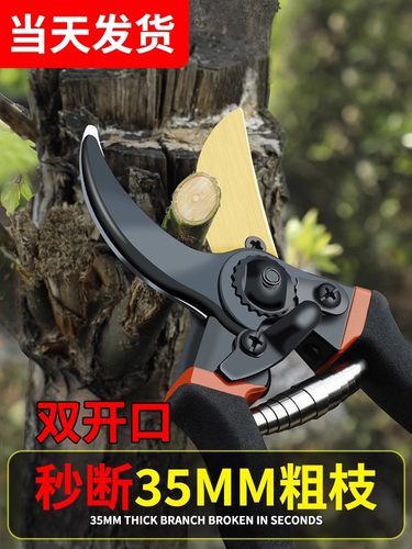 德国精工艺园剪刀剪树枝专用剪刀修枝剪果树剪花园林园艺剪子工具