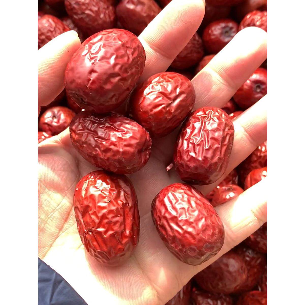 新疆灰枣2025年新枣皮薄核小老树红枣兵团阿克苏特产若羌灰枣5斤