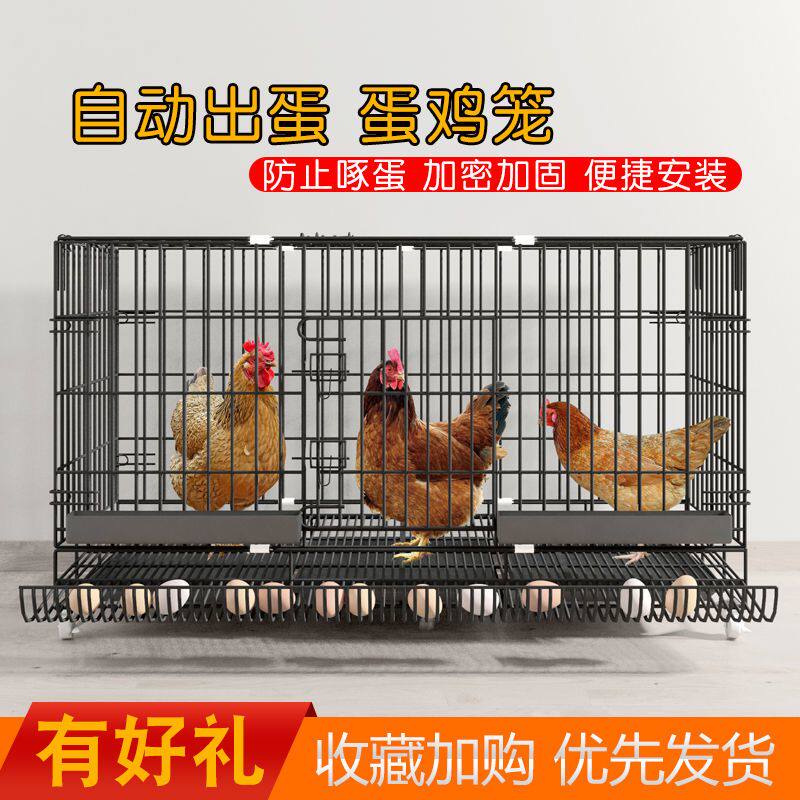 养鸡笼家用鸡笼子养殖笼家用铁笼子鸡舍家用蛋鸡笼特大号包邮