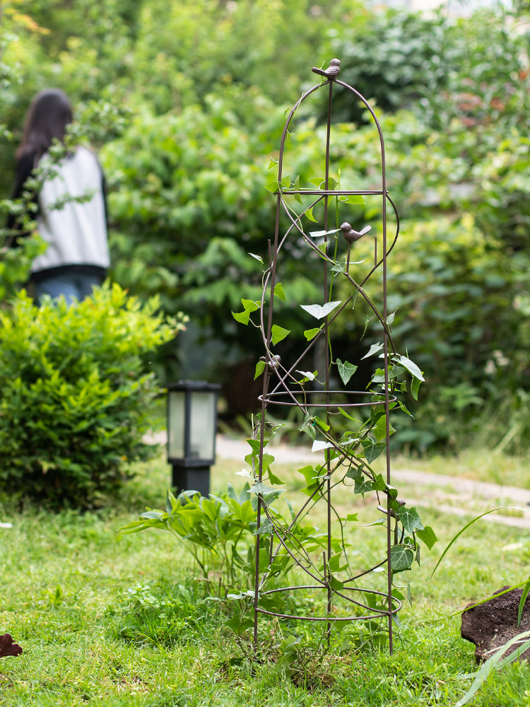 掬涵铁艺小鸟爬藤架鸟笼花架攀爬植物支架花盆阳台园艺花卉支撑杆,家居饰品,装饰架/装饰搁板,淘宝优惠券,粉丝福利购,淘宝优惠卷