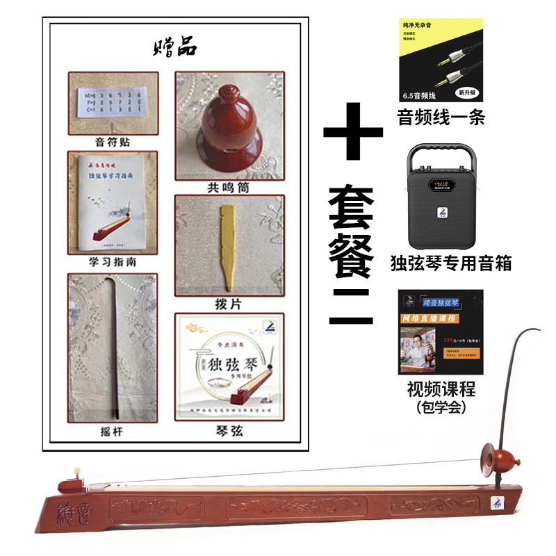 新款绮音独弦琴拾音专业用高档民族乐器音乐爱好者通用型舞台原装