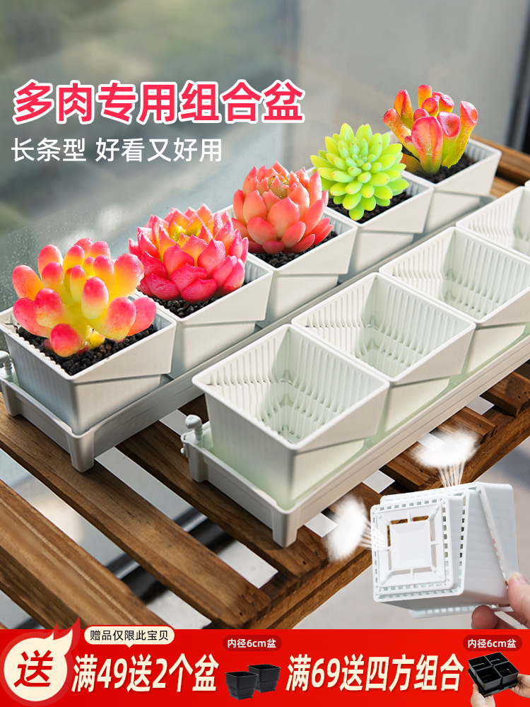 美莳多肉的花盆长方形套装组合树脂透气控根塑料植物专用和营养土
