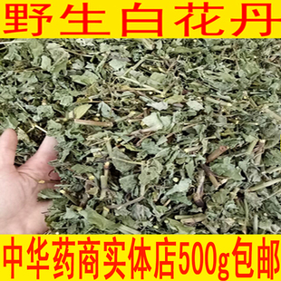 白花丹  野生 谢三娘 百花丹 一见消500克包邮 可打粉