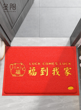 地垫入户门垫进门大门口丝圈脚垫门外2024新年玄关进户门红色地毯