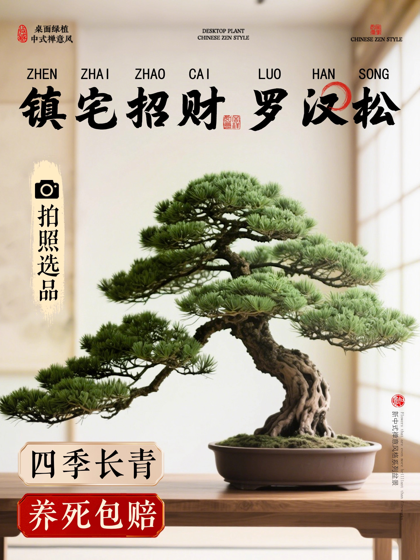 特大罗汉松盆景落地迎客松真树庭院造型老桩旺宅风水树室内外好养