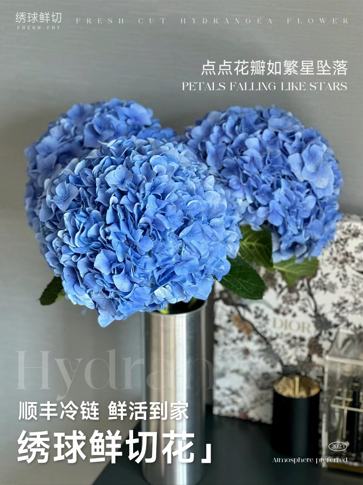 绣球花鲜花水培花卉鲜切花束花材大无尽夏办公室桌面装饰水养插花