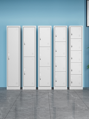 单门更衣柜铁皮柜宿舍带锁员工储物柜钢制柜更衣箱简易办公室衣柜