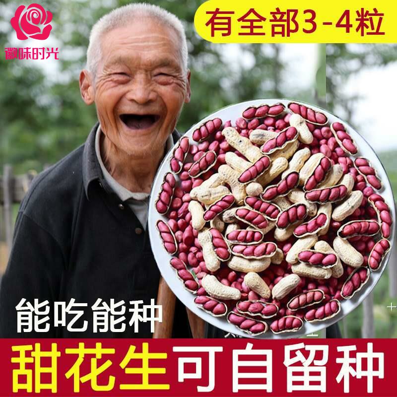 山东红皮小粒带壳四粒红生花生多籽可做种子新货薄皮高产5斤