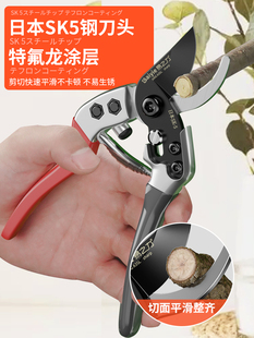 日本原材料进口园艺剪刀粗枝树枝专用果树修枝园林剪枝修花艺花剪
