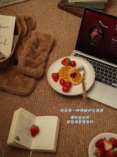 摄影棚拍照专用背景布地毯客厅免洗可擦地垫仿剑麻商用工作室地毯