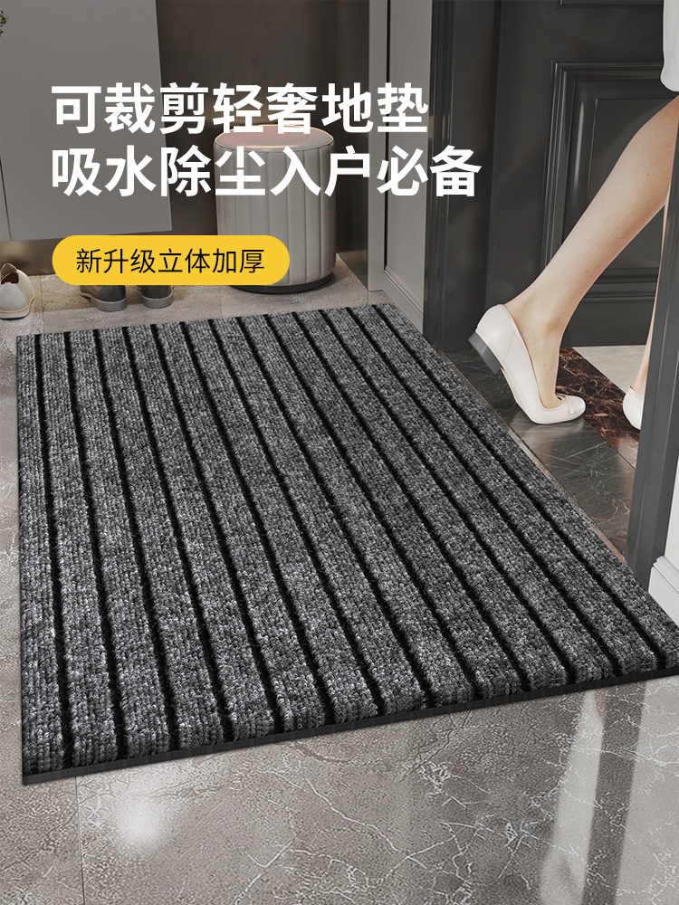 【刘涛推荐】高级感入户门地垫大门地毯脚垫门垫进门家用耐脏除尘