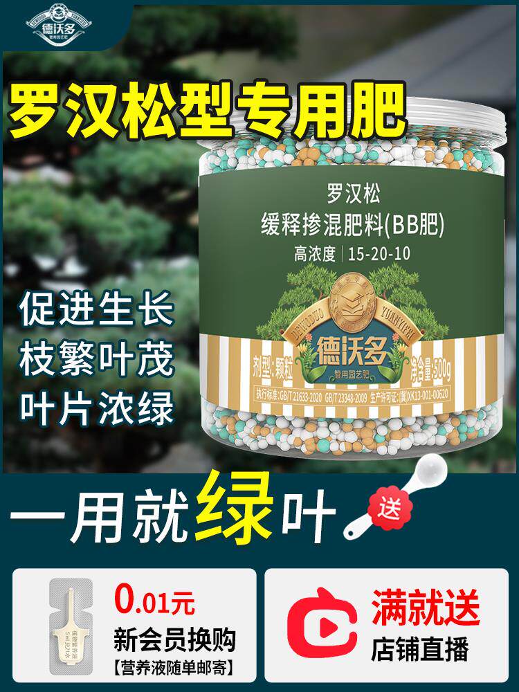 罗汉松专用肥缓释肥泰山松雀舌四季大阪松松树营养液盆景通用肥料