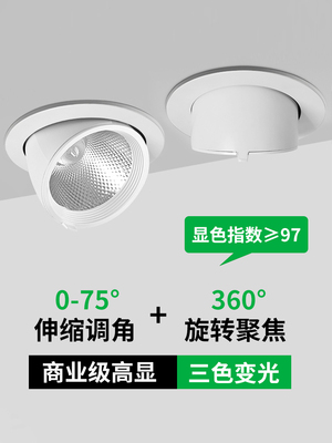 大观园大象头灯Led射灯嵌芯吸顶灯商店商业服装店家495Z