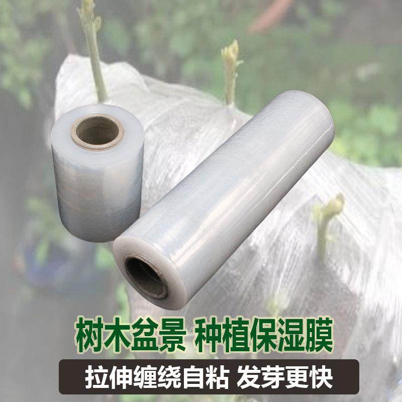 树木盆景生桩保湿膜植物保温膜保鲜膜嫁接膜包树杆缠绕膜