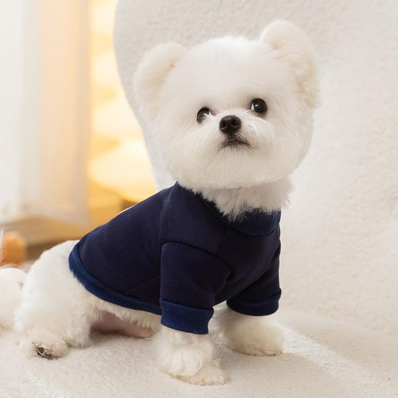 宠物狗狗韩版可爱小熊圆领卫衣春秋衣服秋季比熊泰迪小型幼犬秋天