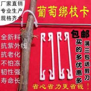 包邮奇异果葡萄树种植绑枝卡扣机绑蔓挂钩扎丝枝条缚固定塑料卡子