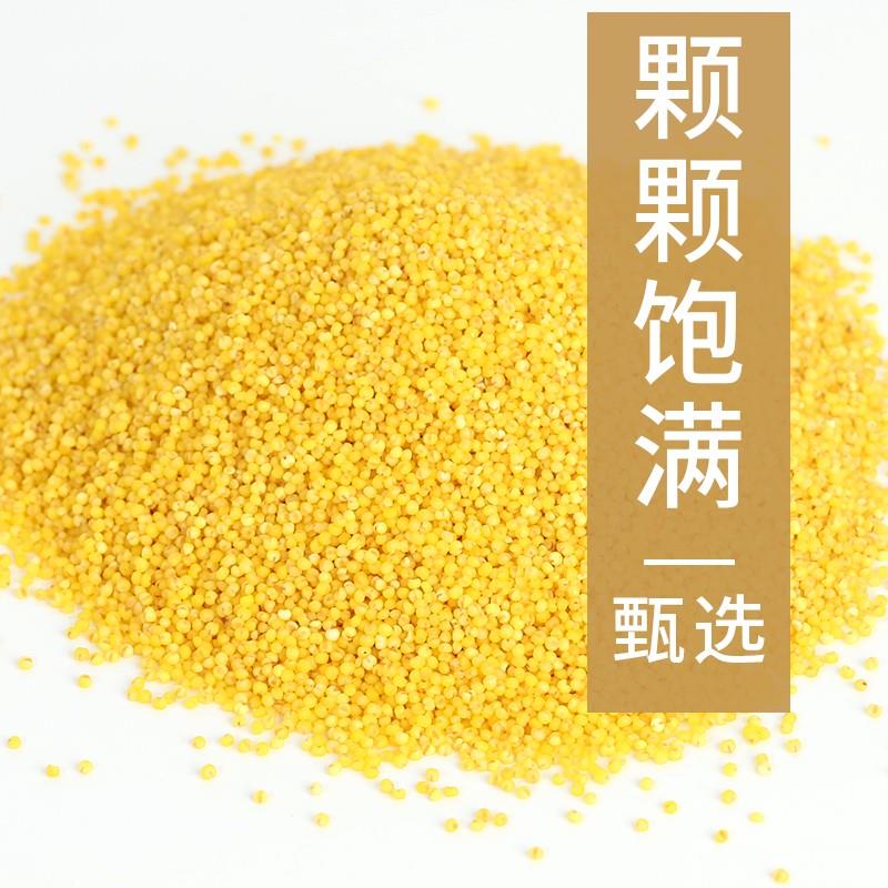 黄小米5斤新米农家自产金谷小黄米小米粥黄米粥食糯五谷杂粮粗粮