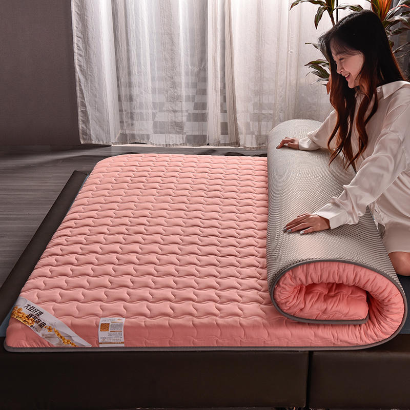 新品2021加厚床垫家用1.5单双人1.8m2米床褥子海S棉垫被学生宿舍1