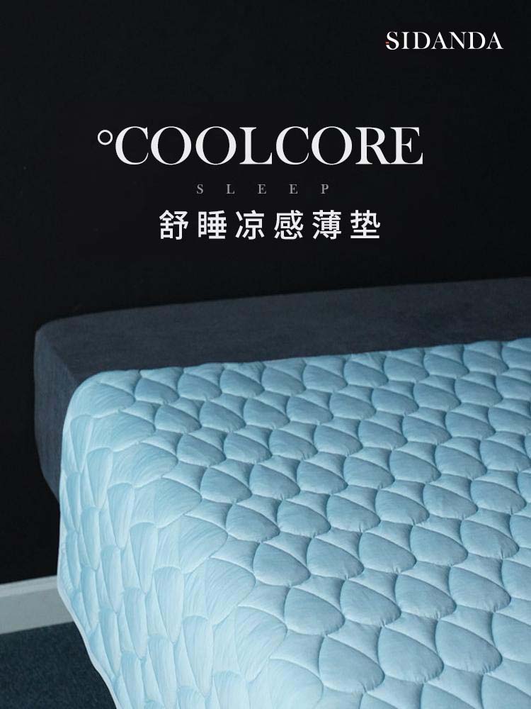 SIDANDA夏季凉感软垫可水洗席梦思凉席垫子薄款床垫冷感垫透气