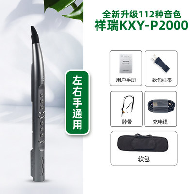 正品卡西雅2021新款电吹管KXY-P2000/P2000pro电子吹管乐器国产数