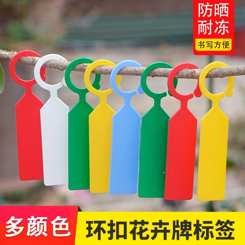 园艺标签环扣加厚塑料防水苗木花卉葡萄西瓜果树植物品种标记挂牌