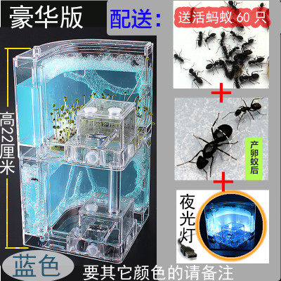 双城堡 免装版蚂蚁工坊屋窝巢房家园庄园送蚁后沙大型生态箱小宠