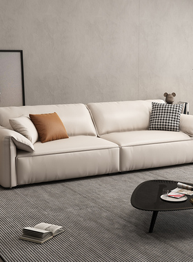 十虎大象耳朵baxter沙发现代简约布艺沙发客厅小户型网红豆腐块