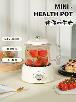 养生壶办公室小型迷你电炖杯女士一人养生杯家用多功能保温煮茶壶