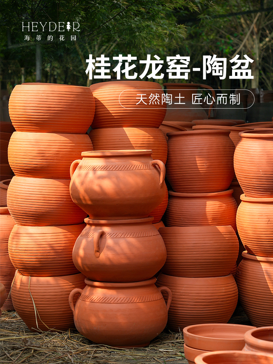 海蒂的花园桂花龙窑红陶盆陶罐园艺组合花卉盆栽陶土种植花盆