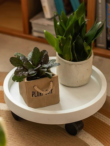 花盆托盘带轮可移动底座接水盘盆栽支架托架底托圆形正方形万向轮