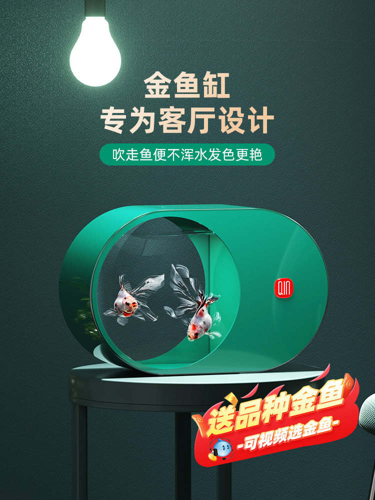客厅金鱼缸泰狮兰寿金鱼专用小型家用造景养金鱼的活鱼带鱼缸新款