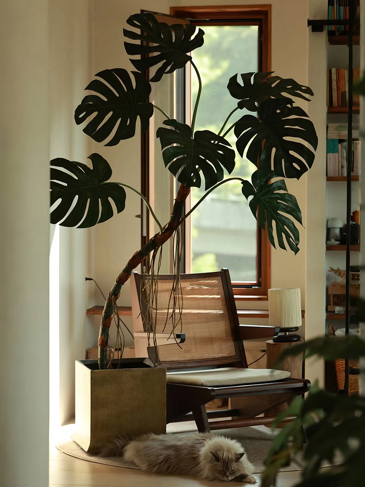 森空间仿真绿植龟背竹植物盆栽室内客厅大型落地绿植高级软装搭配