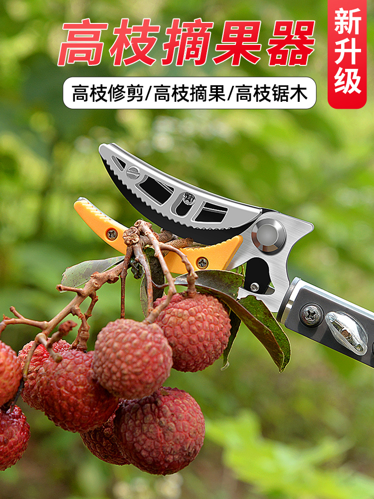 摘荔枝神器伸缩杆高空摘果枇杷杨梅龙眼水果采摘器高枝剪剪专用刀