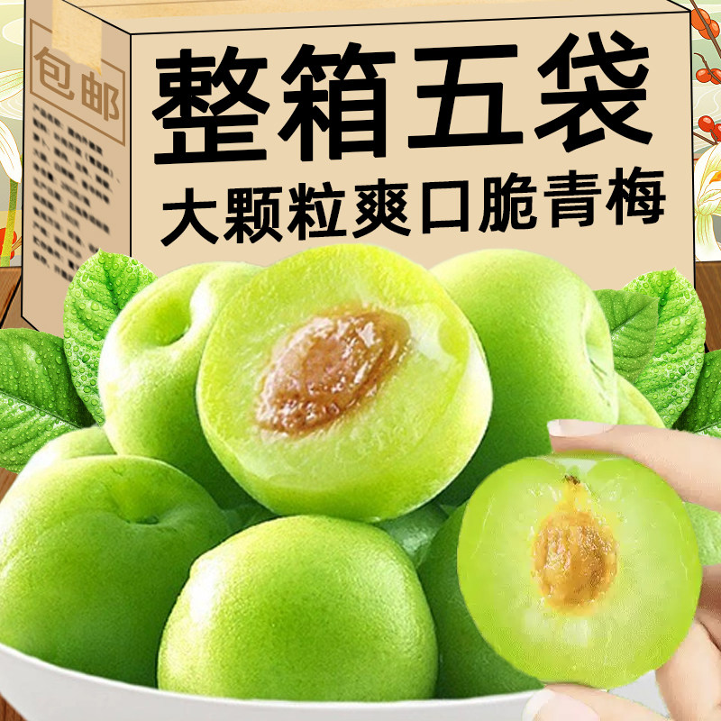 爽口梅脆青梅酸甜青脆梅散装青梅果解馋开胃梅新鲜果脯干蜜饯零食