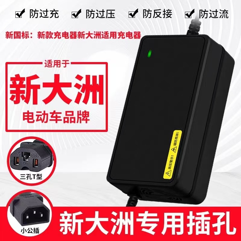 新大洲电动车电瓶充电器48V12AH60V20AH72V32A新国标