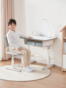 育才儿童学习桌可升降小学生家用书桌小尺寸户型简易写字桌课桌椅