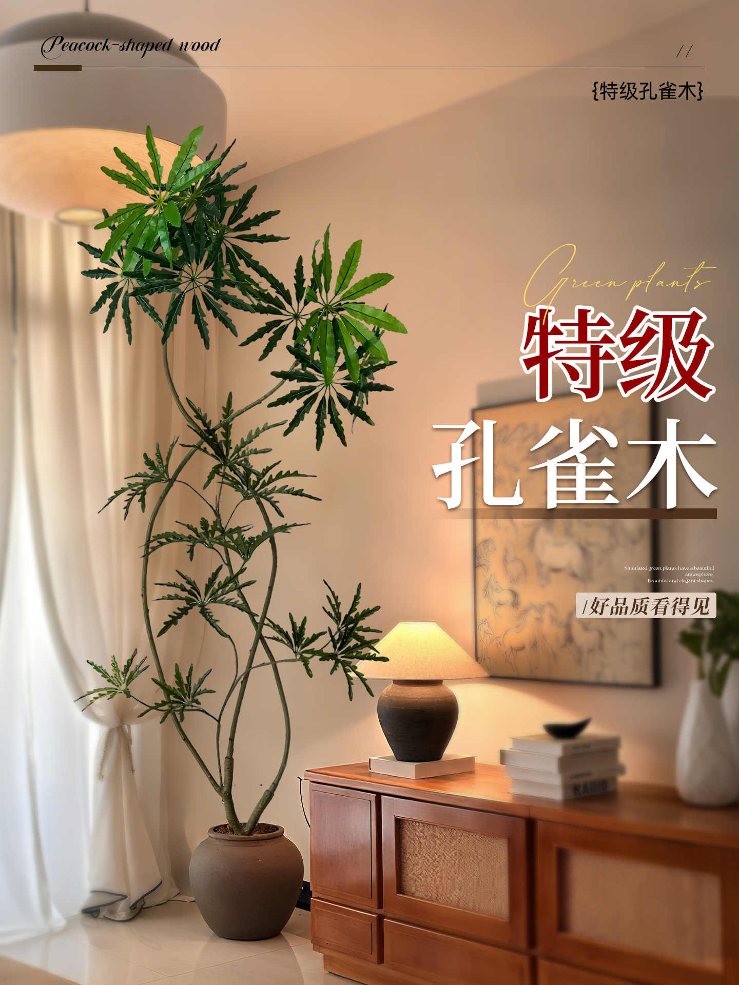 孔雀木客厅绿植大盆栽室内大型植物办公室高端大气上档次轻奢好养
