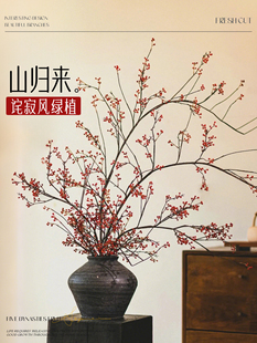 山归来鲜切干花水培植物绿植盆栽办公室内好养活水生南蛇藤高级感