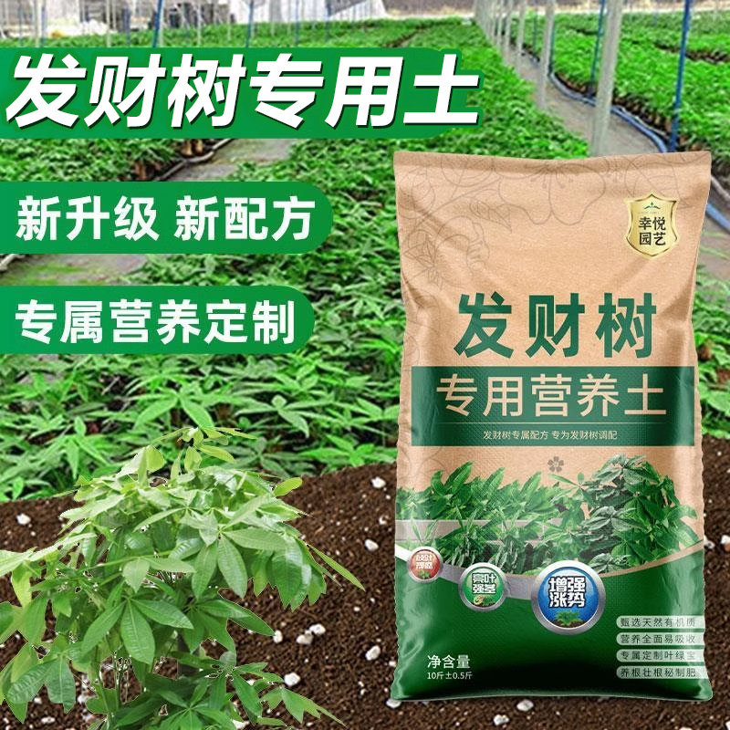 种养发财树专用土营养土花土盆栽土壤发财树肥料专用肥泥土种植土