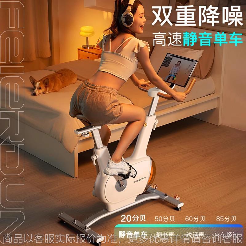 动感单车智能家用器材运动磁控静音小型室内自行车健身车