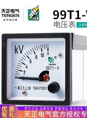 天正 99T1-V指针式48*48mm交流电压表450V100V10KV250V12KV