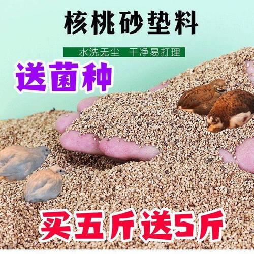 爬虫砂垫材鬃狮蜥蜴陆龟守宫用品爬宠沙饲养沙漠造景装饰钙砂宠物