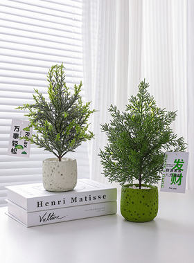 桌面仿真绿植室内办公桌工位植物盆栽造景摆件拍摄道具客厅装饰品