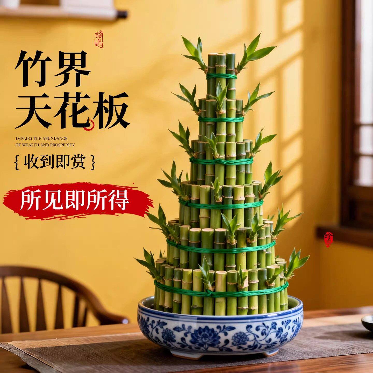 转运竹植物客厅开运招财鸿运当头竹塔盆栽节节高富贵竹水培绿植物