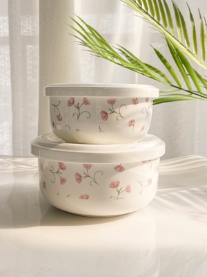 微波炉加热饭盒专用陶瓷碗上班带盖碗骨瓷密封保鲜碗蒸蛋碗可微波