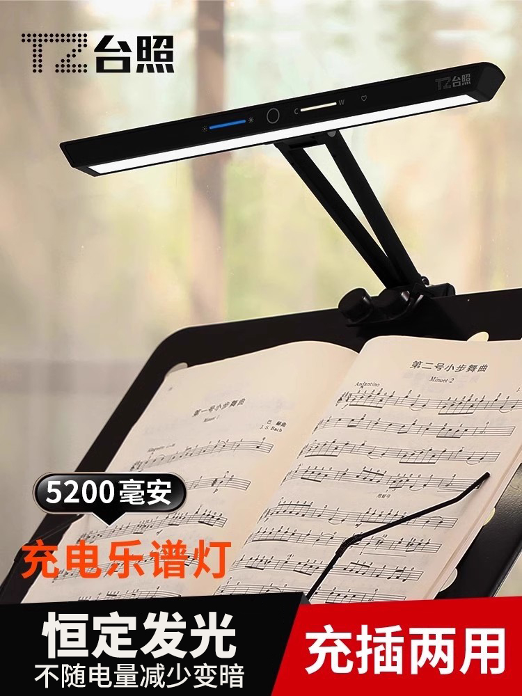 台照乐谱灯练琴专用护眼灯充插两用小提琴古筝吉他演奏乐谱架夹灯