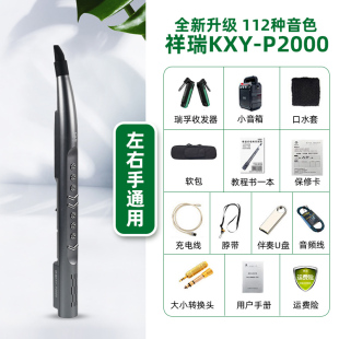 高档卡西雅2021新款 P2000pro电子吹管乐器国产数 P2000 电吹管KXY