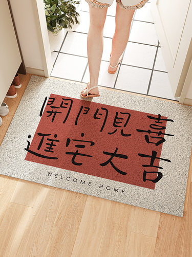 入户门新年地垫耐脏免洗丝圈pvc轻奢现代门口可裁剪地毯垫子